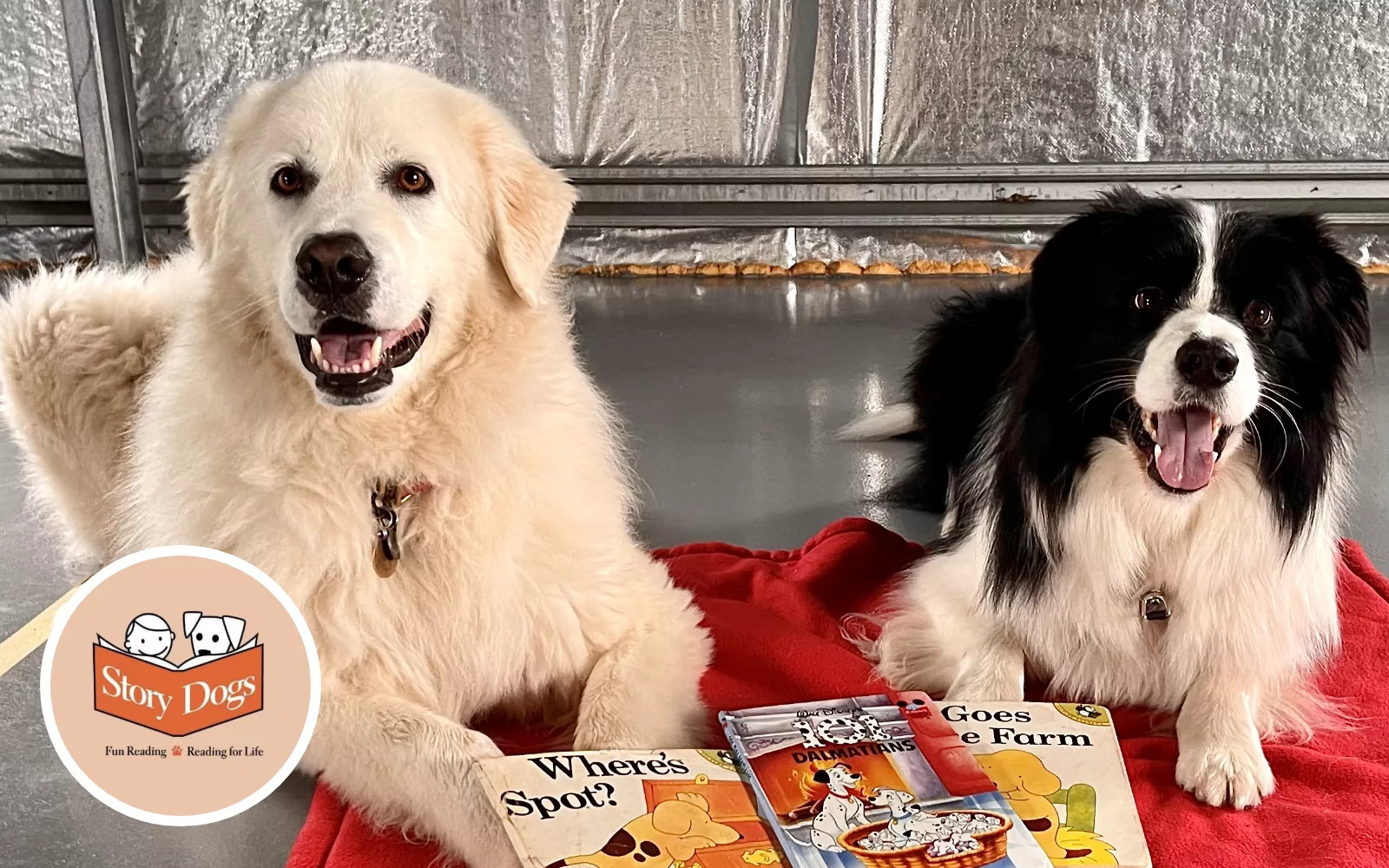 Two dogs laying down with three story books