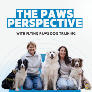 Podcast Cover.png